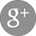 Google Plus